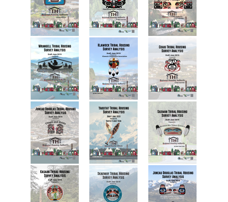 Southeast Regional Tribal Housing Survey Analysis