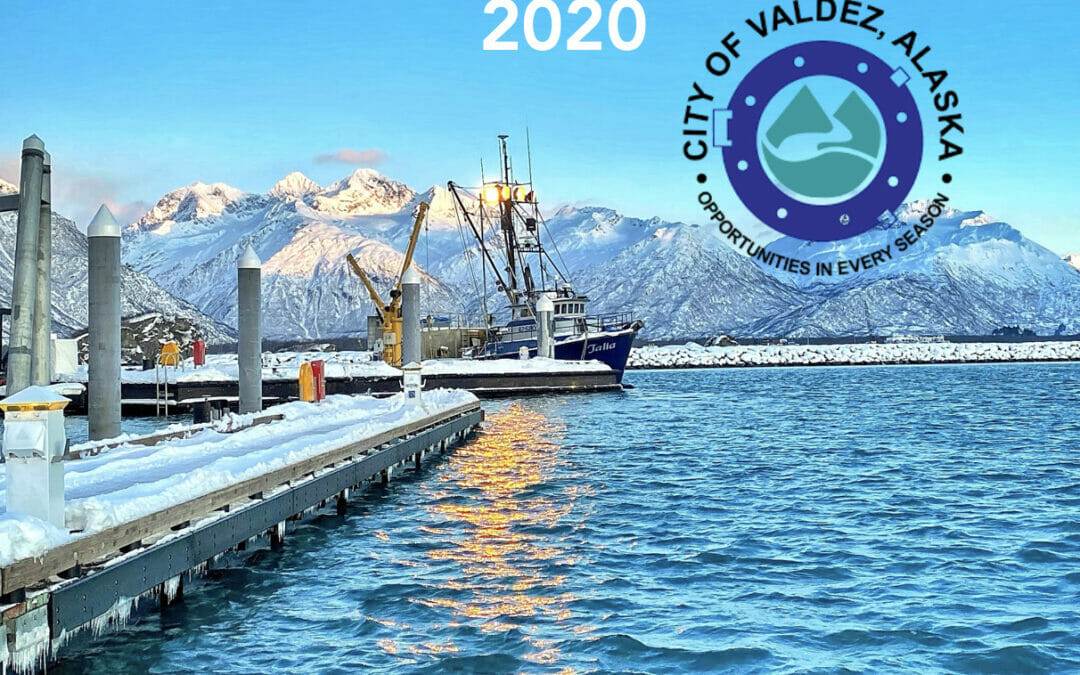 Valdez Alaska Business Climate and COVID-19 Impacts Survey  2020