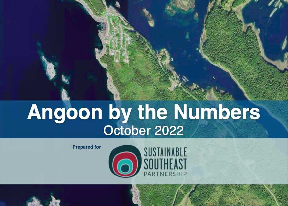 Angoon by the Numbers 2022