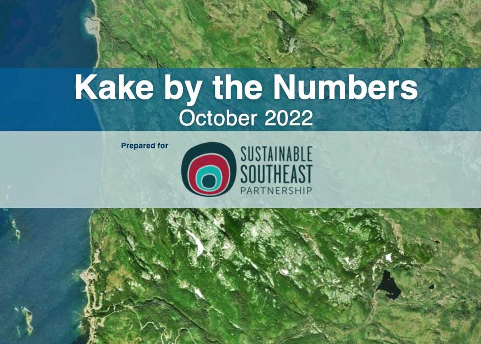 Kake by the Numbers 2022
